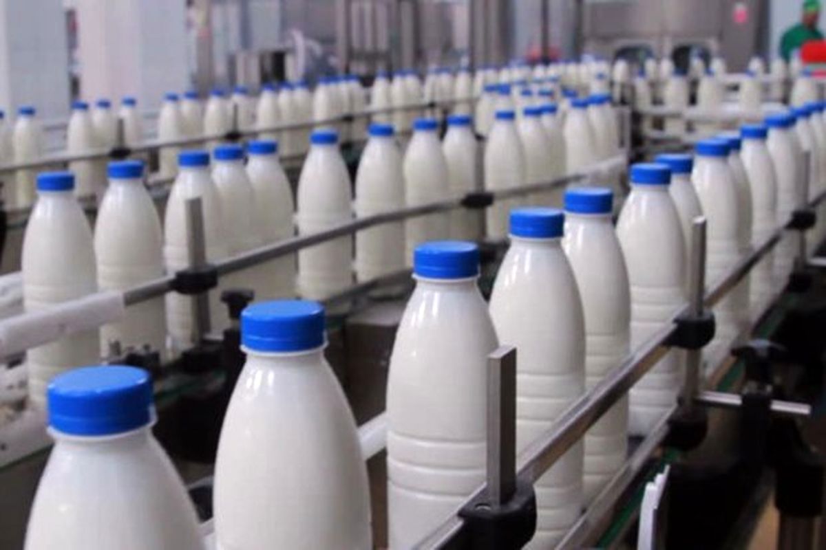 1900 تن شیر خام در بابل با ارزش اقتصادی 231 میلیاردی تولید شد