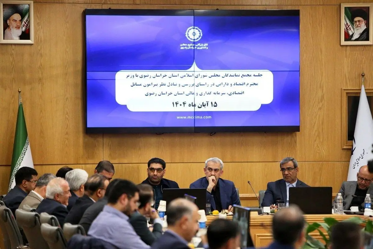 وزیر اقتصاد 