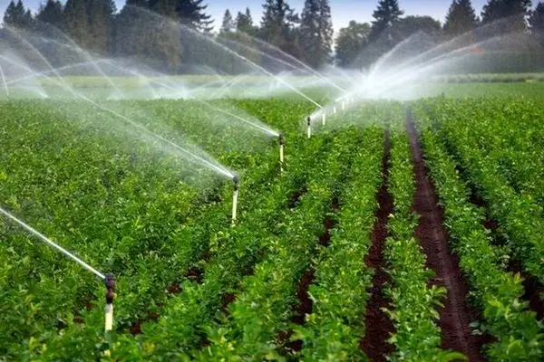 اعتبارات سامانه‌های نوین آبیاری در بودجه امسال  ۳ برابر افزایش یافت