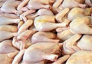 احتمال افزایش قیمت گوشت مرغ در روزهای آینده / قیمت نهادهای دامی گران شده است