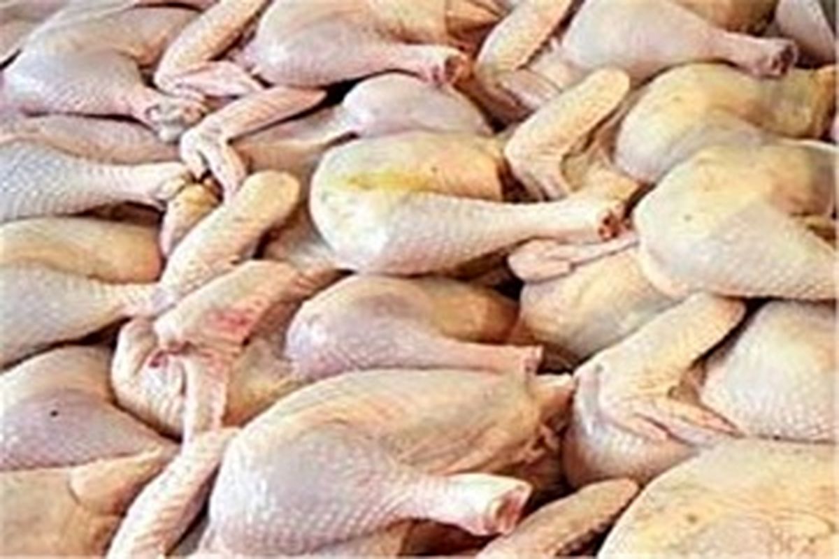 خرید گوشت مرغ مازاد برای جلوگیری از زیان مرغداران