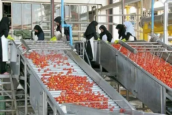 ۲۰۰ واحد صنایع تبدیلی کشاورزی در سال جاری راه‌اندازی شد