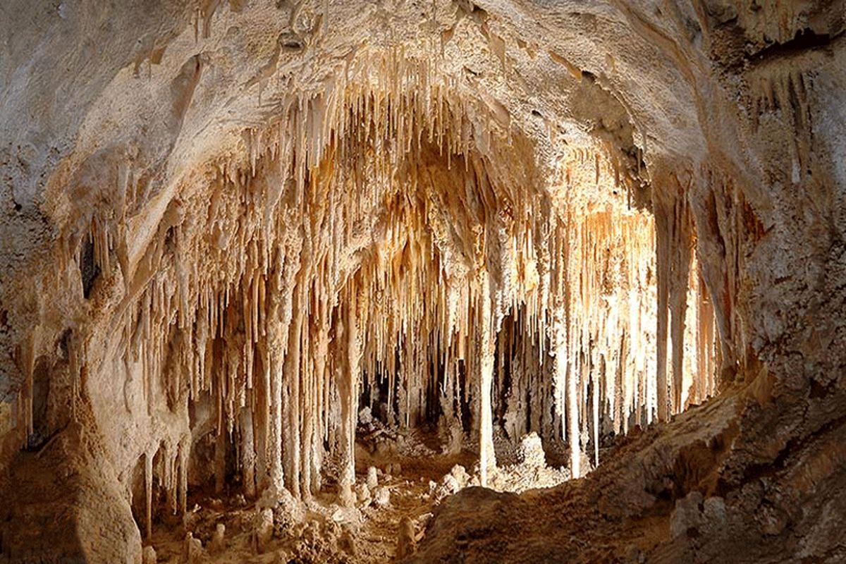 گردشگری در غارها نباید به قیمت نابودی زیستمندان درون غار تمام شود