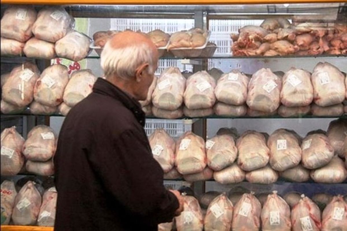 قیمت مرغ برای مصرف کننده کیلویی ۷۳ هزار تومان تعیین شد