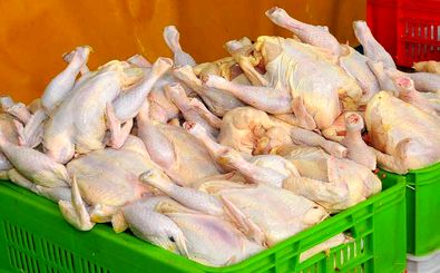 ۷ هزار و ۵۷ تن گوشت مرغ گرم به بازار عرضه شد