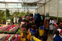 بیست و ششمین جشنواره گل و ماهیان زینتی در اصفهان آغاز بکار کرد 