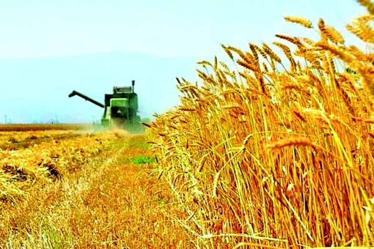 وظایف شورای قیمت ‌گذاری محصولات اساسی کشاورزی اصلاح شد