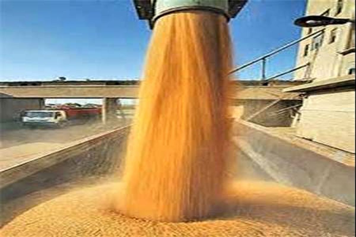 افتتاح 5 سیلوی ذخیره‌سازی گندم در کرمانشاه