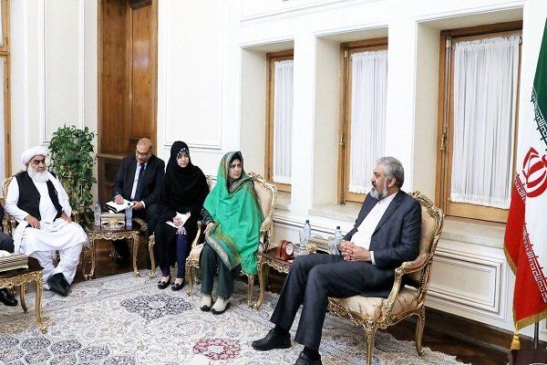 دیدار رئیس مجلس پاکستان با قائم مقام وزیر امور خارجه کشورمان