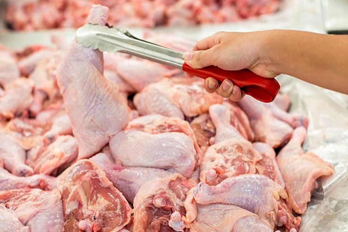 تعیین قیمت مرغ گرم در هرمزگان به صورت روزانه 