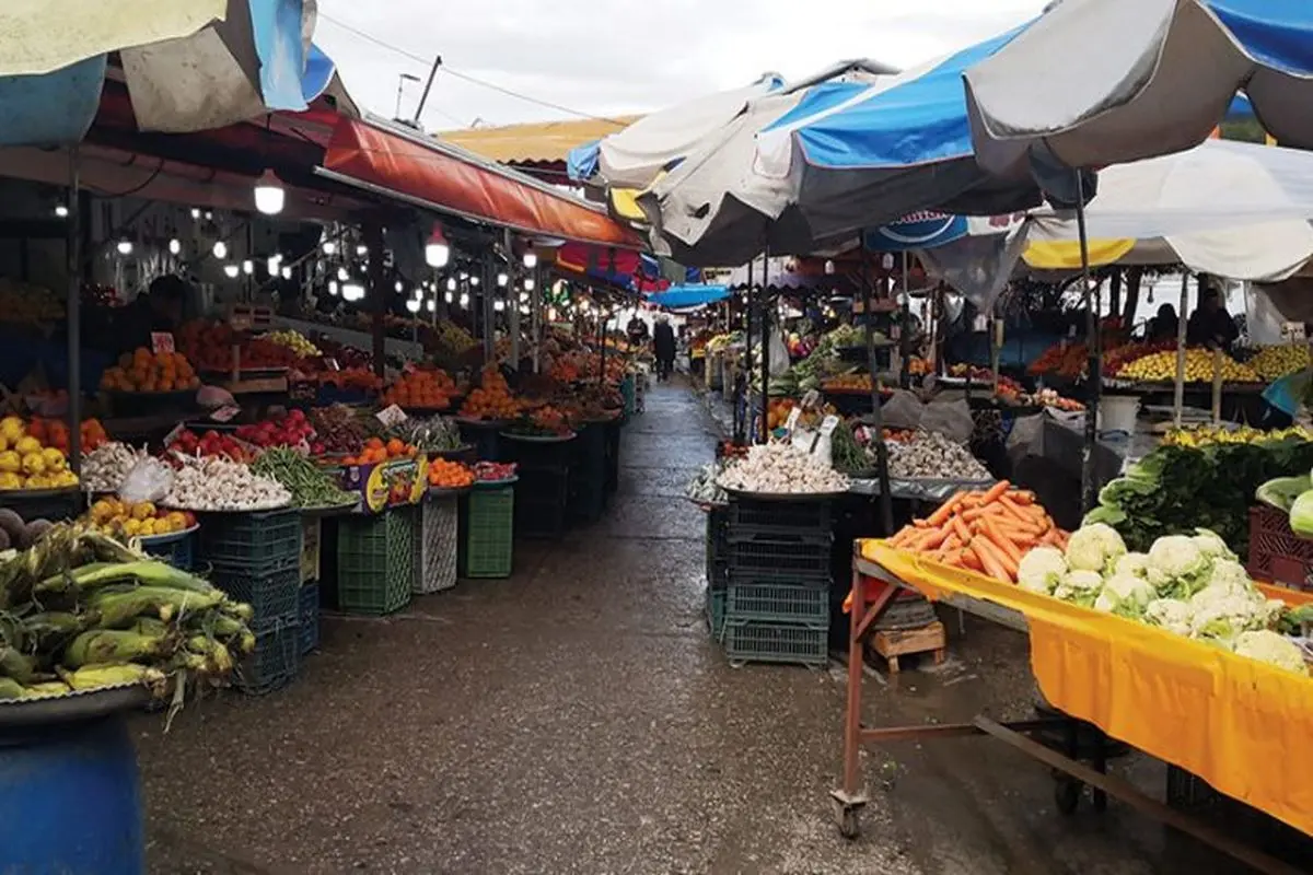 فارس، متعهد به راهاندازی ۳۷ روستابازار تا پایان امسال