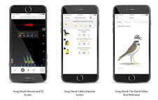 شناسایی پرندگان با صدای آنها به کمک یک اپلیکیشن

