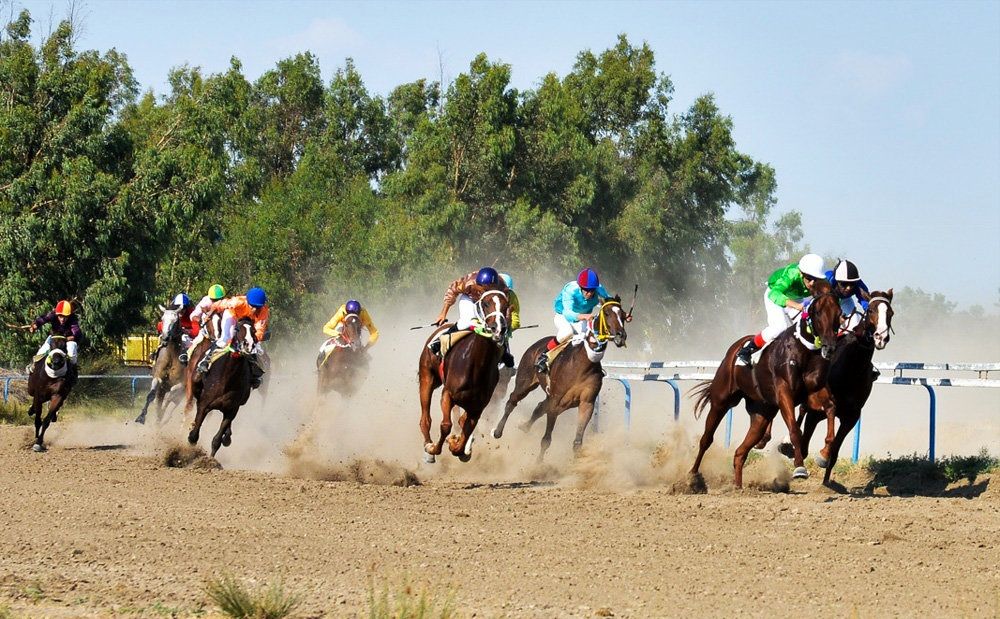 مسابقات کورس امتیازی اسب های محلی در رشت برگزار می شود