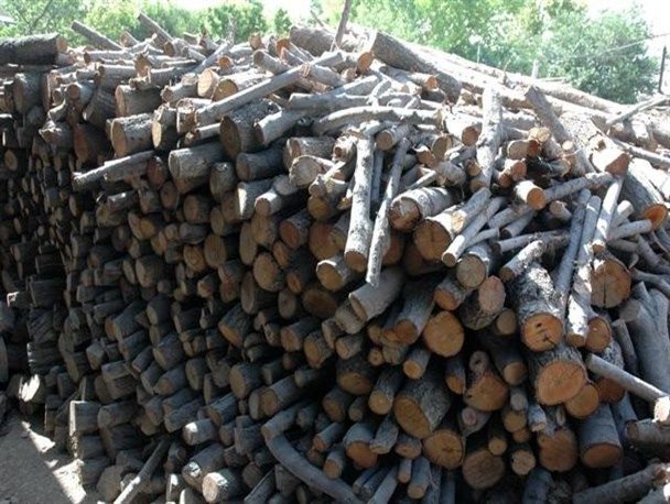 کشف و توقیف 4 تن چوب بلوط قاچاق در نجف آباد / دستگیری یک نفر