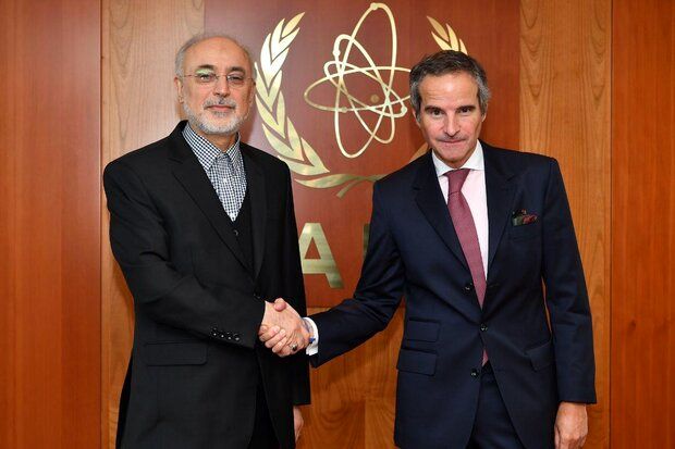 رافائل گروسی با رئیس سازمان انرژی اتمی کشورمان دیدار کرد