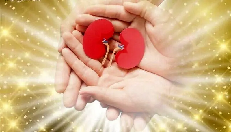 اهدای عضو یک بیمار مرگ مغزی در شهرکرد 