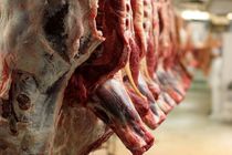 سهم ۱۲ درصدی خراسان رضوی در تامین گوشت قرمز کشور