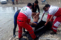 جسد 2 تبعه افغان از سد قره دین ازنا بیرون کشیده شد