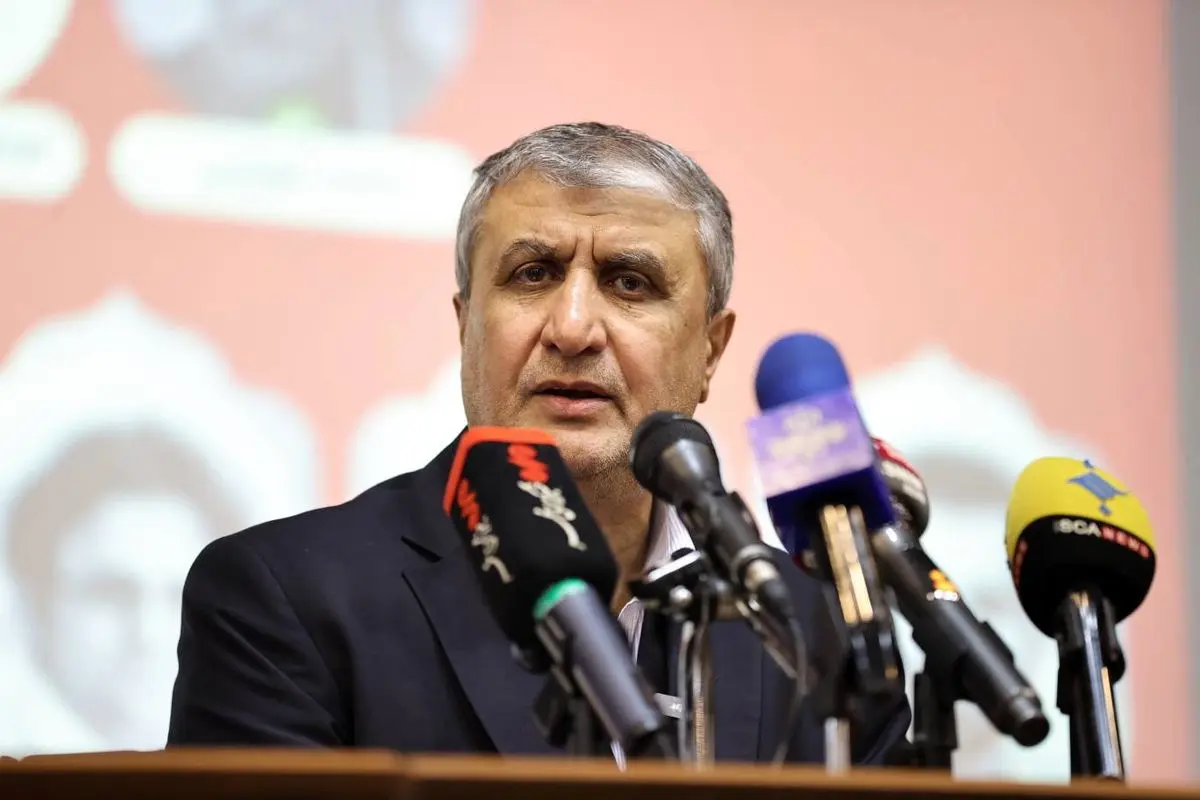 رئیس سازمان انرژی اتمی