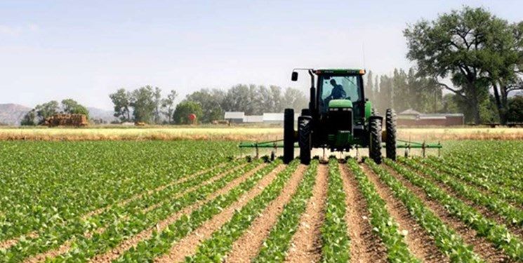 انعقاد ۴۸۲ قرارداد با کشاورزان در راستای اجرای طرح کشاورزی قراردادی در استان قزوین