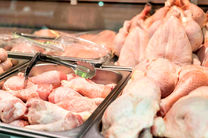 صادرات مرغ با عوارض صفر درصد آزاد شد