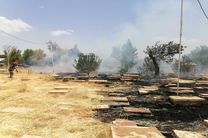آتش سوزی در آرامستان تاریخی دارالسلام شیراز