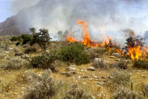 مهار آتش سوزی 6 هکتار از مراتع جعفر آباد  در شهرستان لنجان