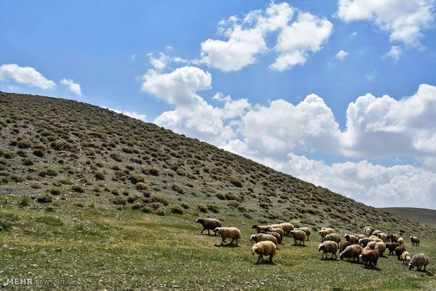 بازپس گیری ۲۱۱ هزار مترمربع از اراضی ملی