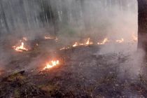 هشدار آتش سوزی در جنگل ها و مراتع استان گیلان