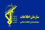 شبکه سازمان‌یافته فساد در حوزه خرید تضمینی گندم منهدم شد