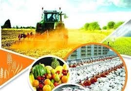 صادرات  ۶.۱ میلیون تن محصولات کشاورزی از کشور در ۹ ماهه امسال