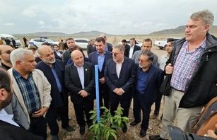 وزیر کشور از بزرگترین باغ پسته و گردو خاورمیانه در ماکو بازدید کرد