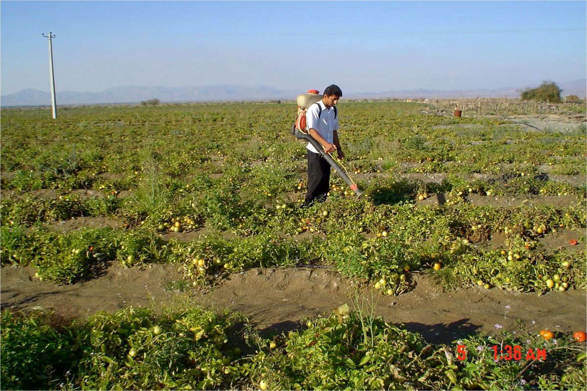 15 میلیون وام برای کشاورزان تهرانی