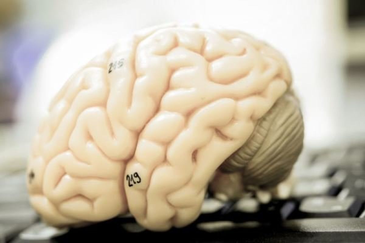 چگونگی رشد تومورهای مغزی کشف شد