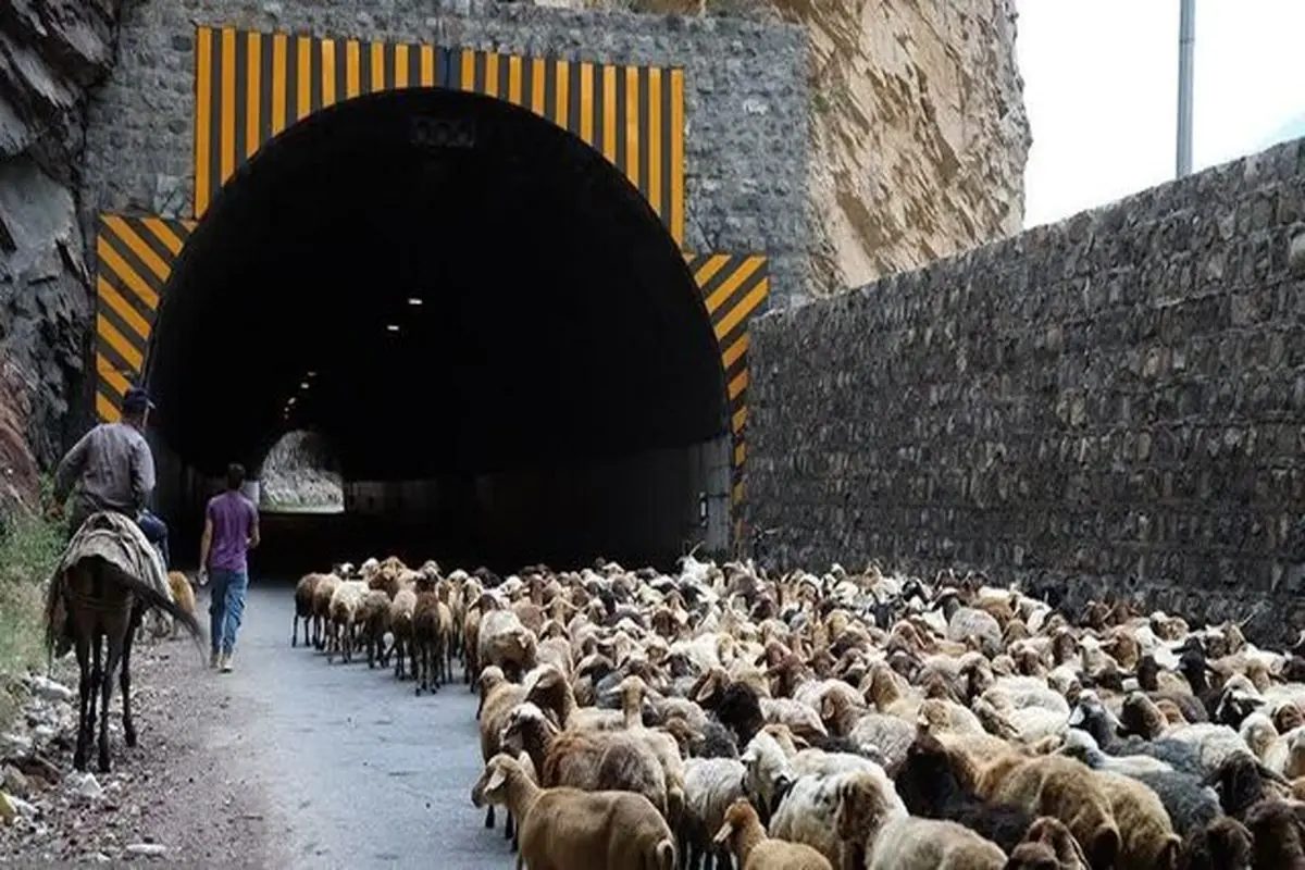 کندوان