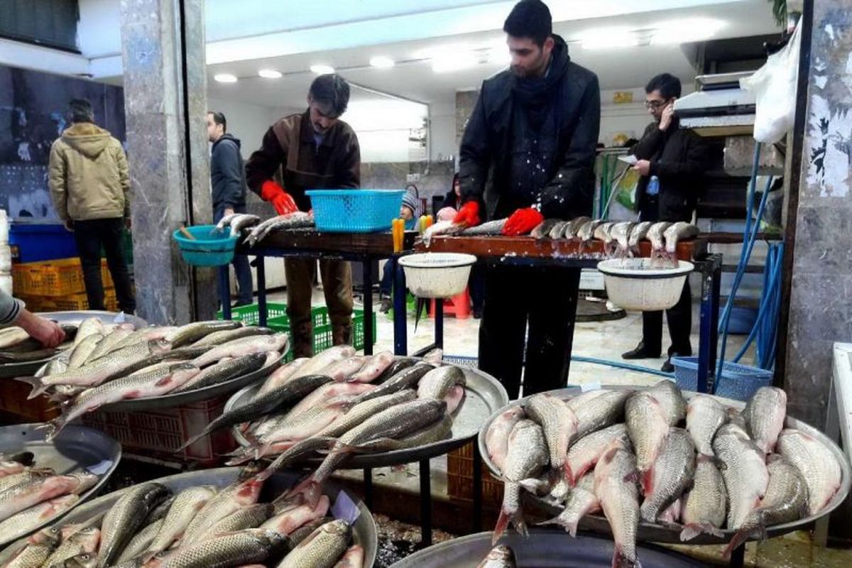 توزیع آبزیان در بازار جدید ماهی فروشان بندرعباس صورت می گیرد