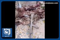 تصاویر اجساد ۳نفر از اعضای گروهک جیش‌الظلم در حادثه تروریستی چابهار + فیلم