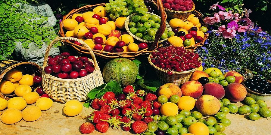 اختصاص 500 میلیون تومان یارانه به صادرکنندگان میوه های دانه دار