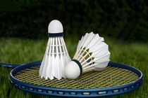 مسابقات بدمینتون رنکینگ سطح ۳ کشور «جام لاد» در لار پایان یافت