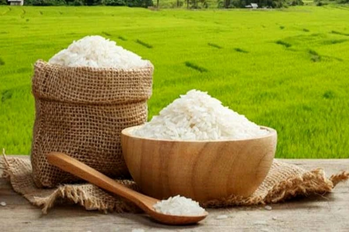 قیمت انواع برنج در بازار مازندران