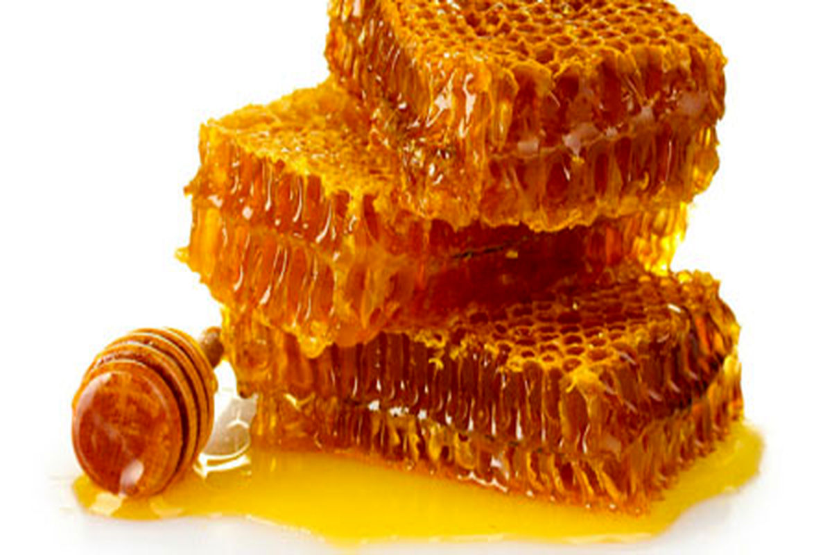 برداشت 218 تن عسل در استان قم