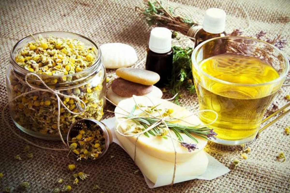 ۱۰۳ هکتار از اراضی شهرستان نمین زیر کشت گیاهان دارویی رفته است