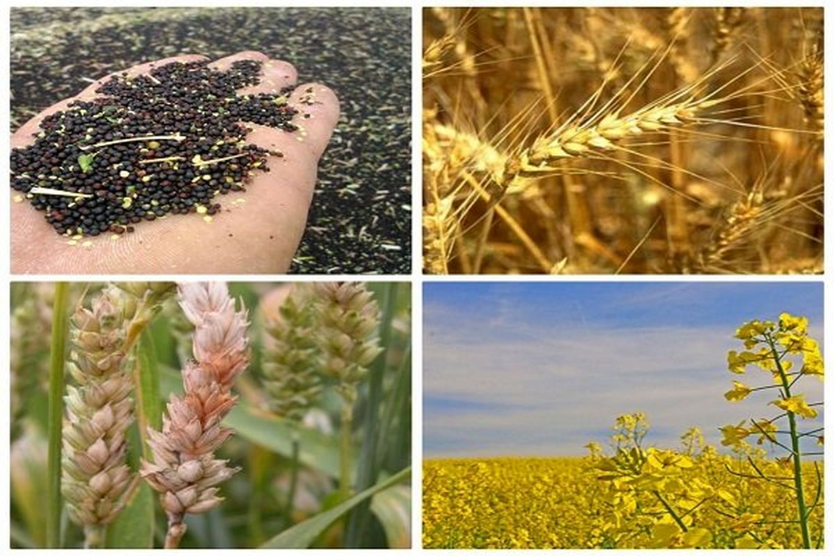 نگاه ویژه روسیه به توانمندی‌های بخش کشاورزی اصفهان