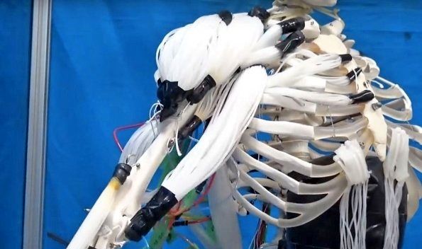 رباتی با ماهیچه هایی شبیه به انسان ساخته شد