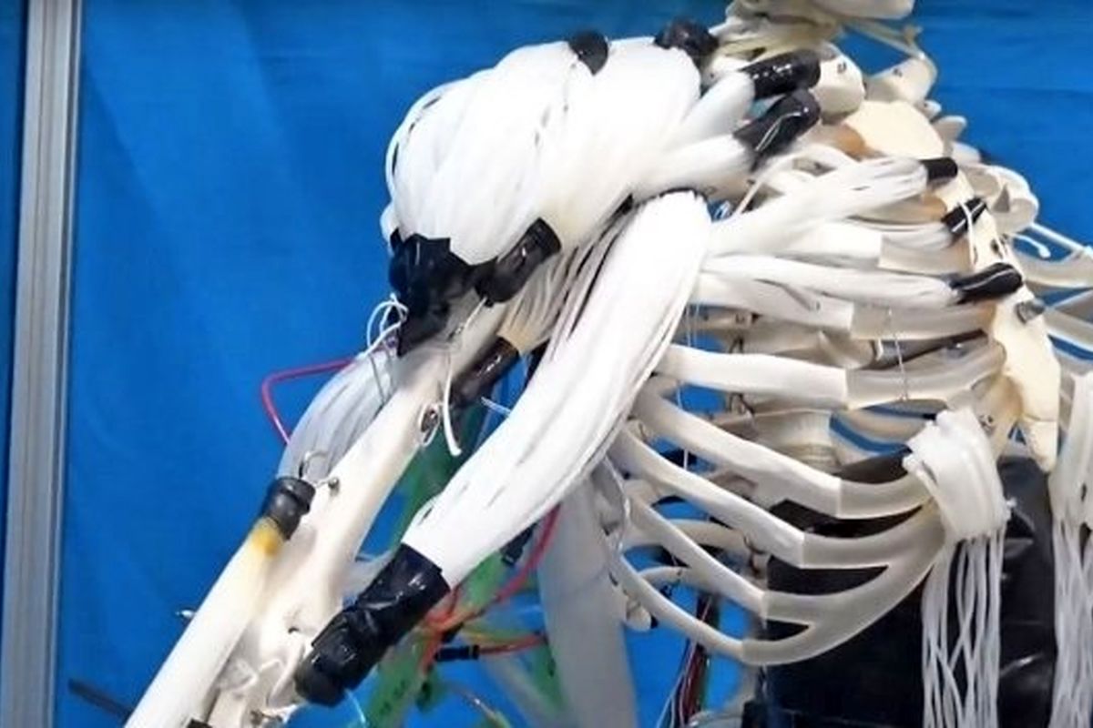 رباتی با ماهیچه هایی شبیه به انسان ساخته شد