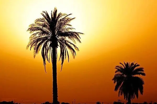 دما‌های ۴۹ درجه و بالاتر در خوزستان پیش بینی می شود 