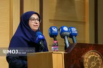 رئیس سازمان محیط زیست بر فرهنگ سازی موضوع محیط زیست تاکید کرد
