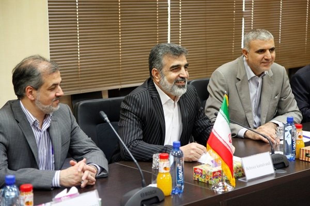 کمالوندی: تمام گزارشات آژانس حاکی از اجرای کامل برجام از سوی ایران است