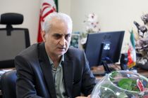 تشکلهای سیاسی و اجتماعی عناصر بالنده جامعه هستند 