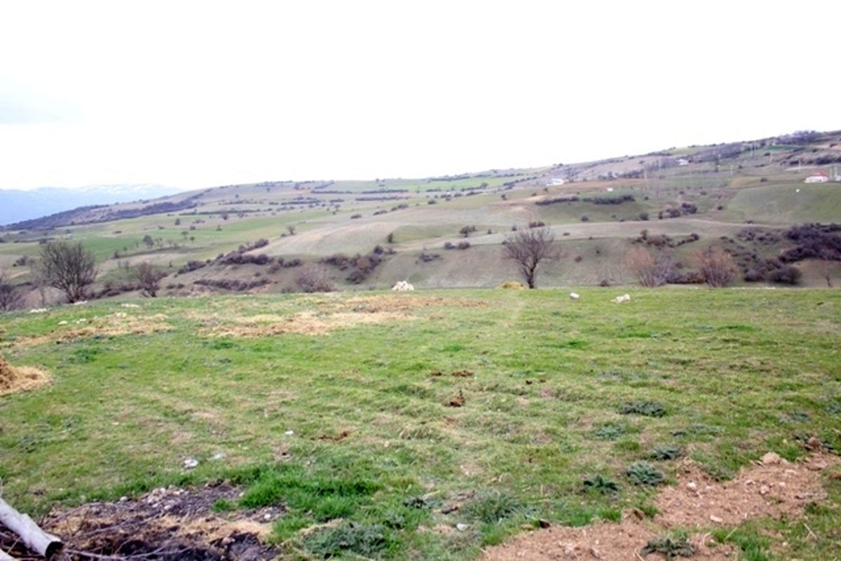 رفع تصرف 15 هزار متر از اراضی ملی در شفت